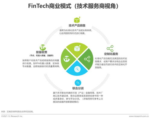 2021年中國金融科技行業發展洞察報告 網絡技術服務視角
